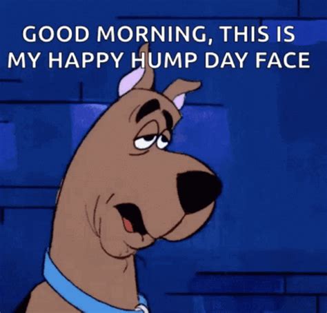 hump day gif|happy hump day giffy.